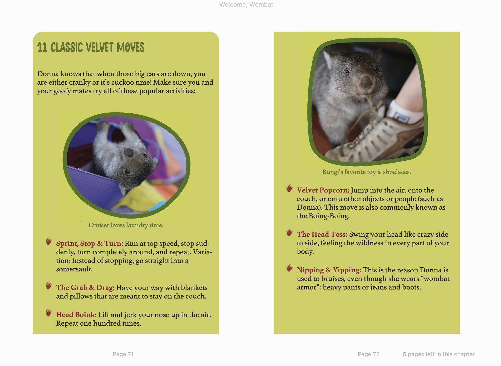 Design from Welcome Wombat