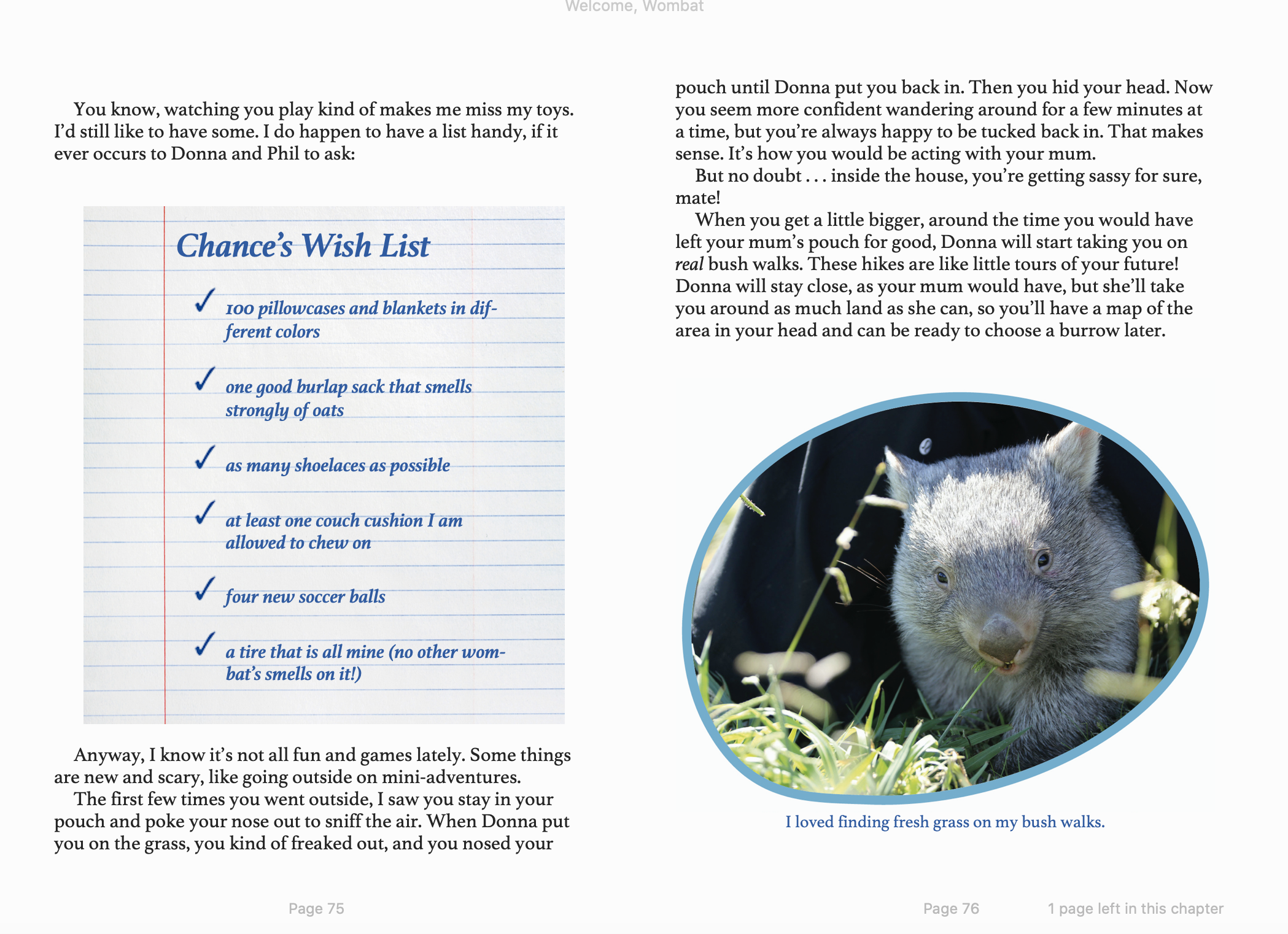 Design from Welcome Wombat