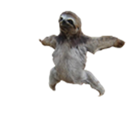 follow ur dreams
