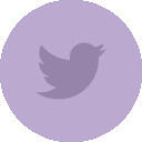 Twitter Icon